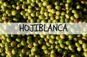 Huile d'olive Hojiblanca Manchego